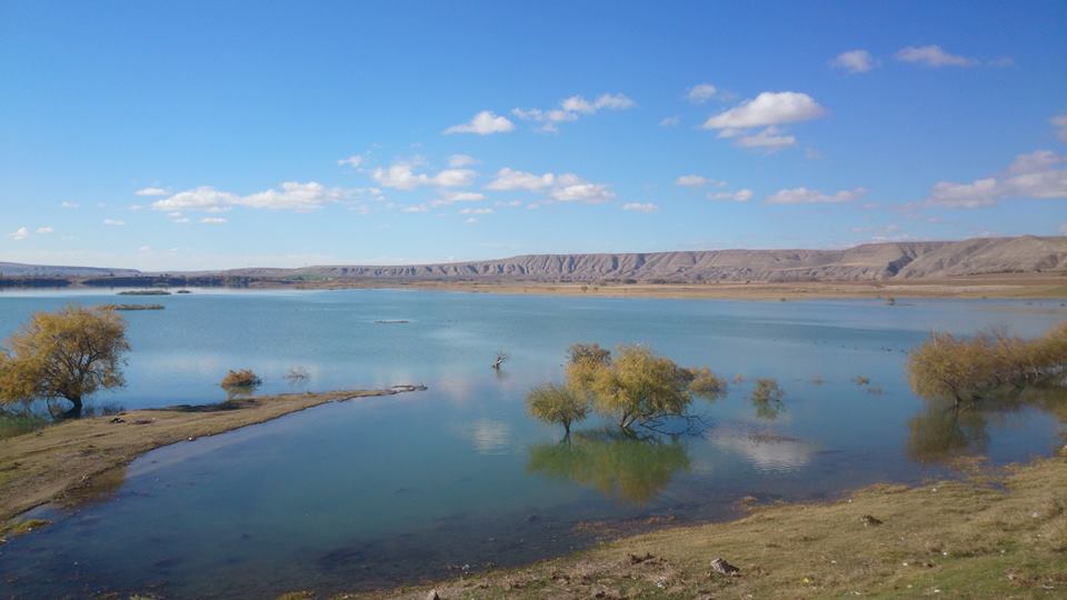 Çeşnigir Köprüsü